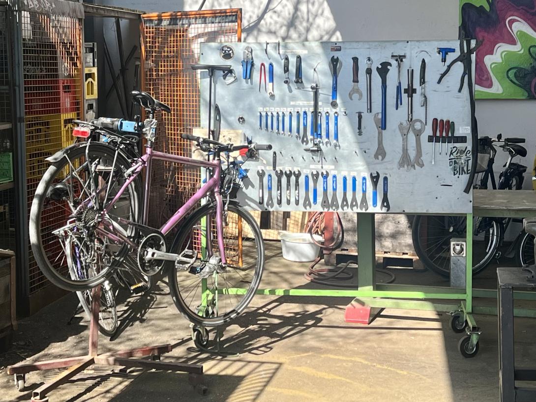 ep 80w 90 gear oil 20L Finol 80W-90 – Cooley Agri Sales Ltd E-bike Chargers Ausführung:8 Liter + 7 Liter shaft drives Ktm Macina Tour CX